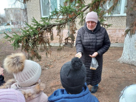 В подготовительной группе состоялась прогулка на тему: "Покормите птиц зимой" В подготовительной группе состоялась прогулка на тему: "Покормите птиц зимой".